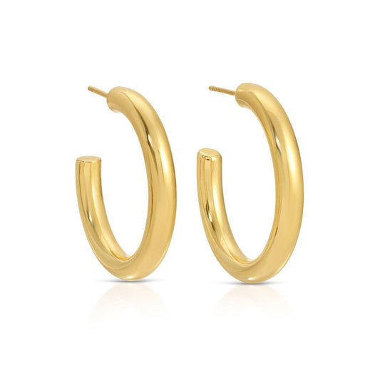 The Perfect Hoop Earrings
