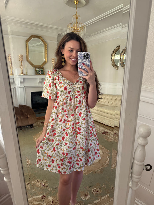 PaMeilia Dress